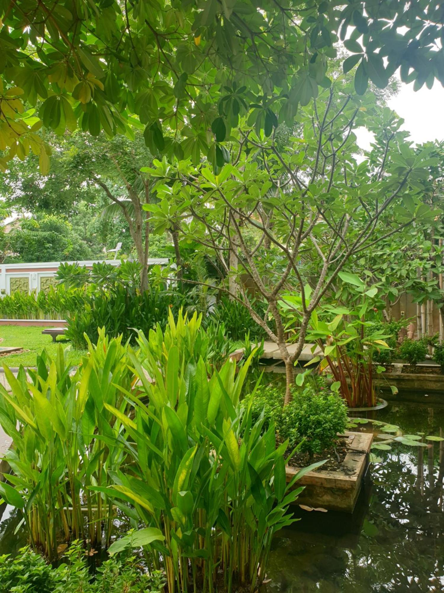 Bamboo Retreat Villa 暹粒 外观 照片